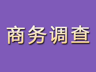 方正商务调查